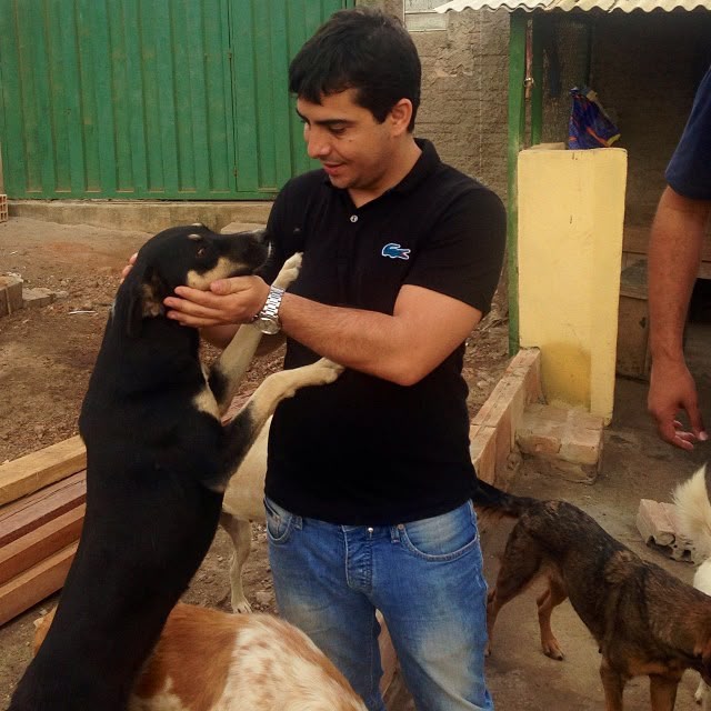 Saúde Animal